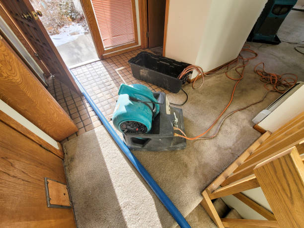 Best Flooded house restoration  in Valley View, PA