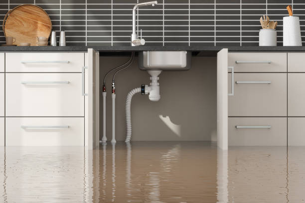 Best Water damage restoration company  in Valley View, PA